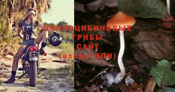 метадон Заволжск