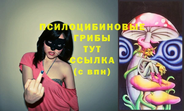 тгк Заводоуковск